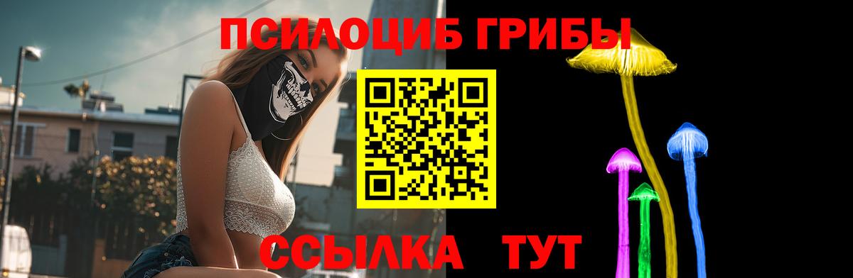 Галлюциногенные грибы Cubensis  Вход с VPN  Усолье-Сибирское  Галлюциногенные грибы MAGIC MUSHROOMS 